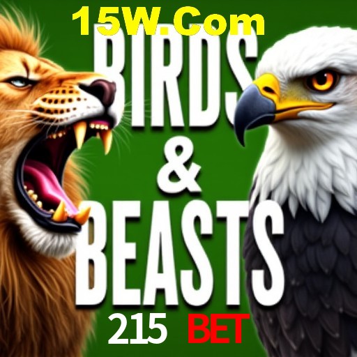 Apostas de Futebol 215 Bet